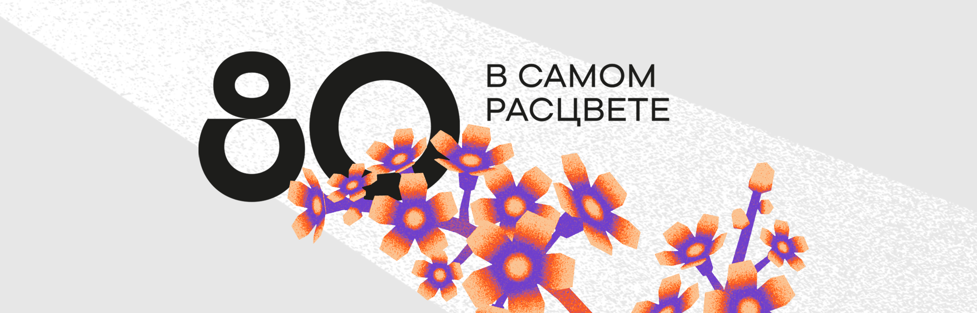Красцветмету 80